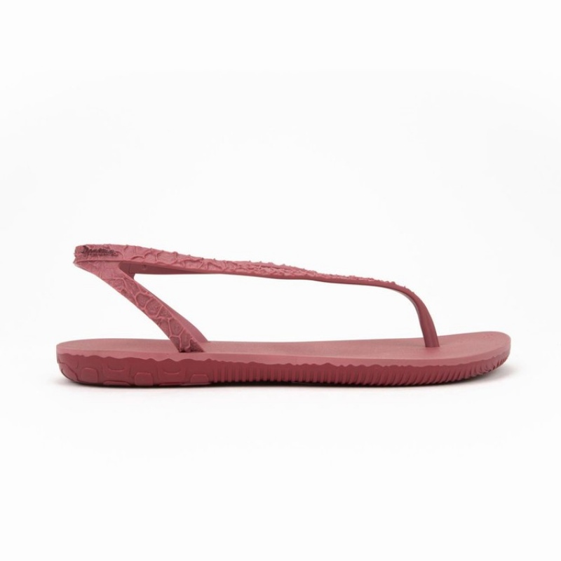 Sandali Donna Ipanema Jo Bordeaux | 801623-YFV